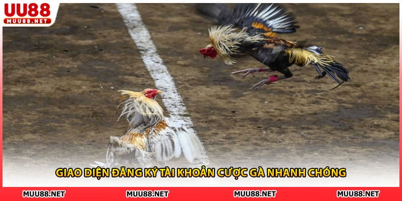 Giao diện đăng ký tài khoản cược gà nhanh chóng